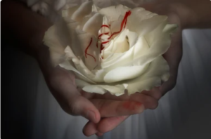 Clitoral Hood Reduction Treatment